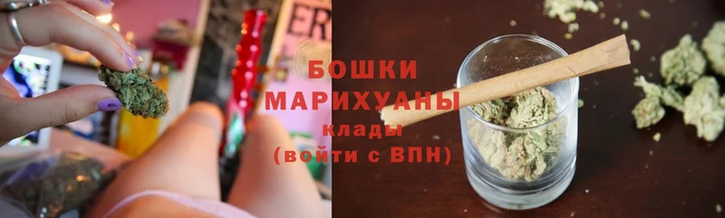 хочу   Североморск  Бошки марихуана Amnesia 